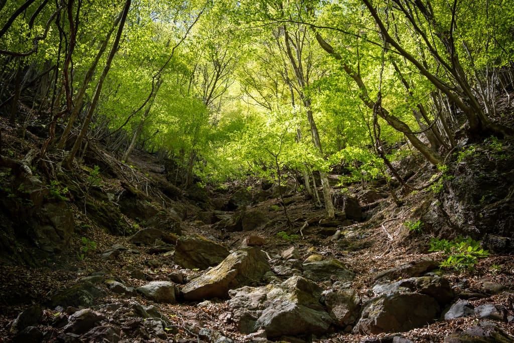 両神山