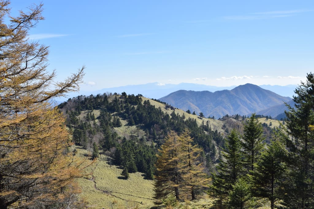 大菩薩嶺の登山道