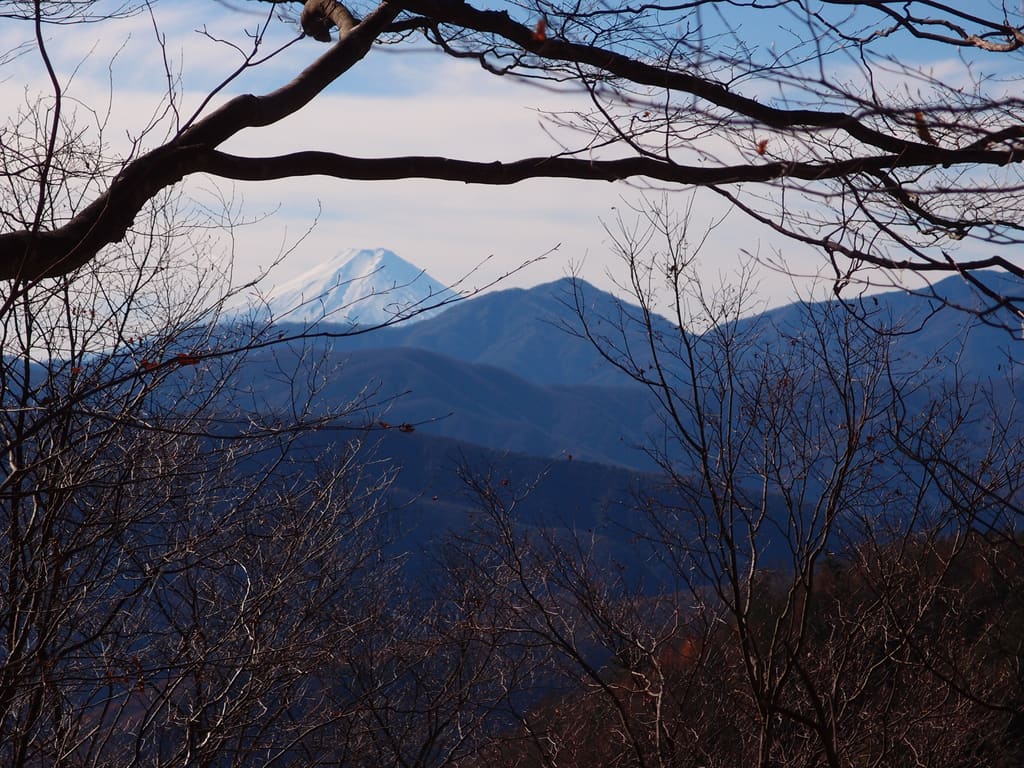 鴨沢から七ツ石山へ向かう登山道から見た富士山
