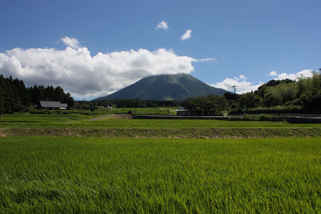 西側から見た大山