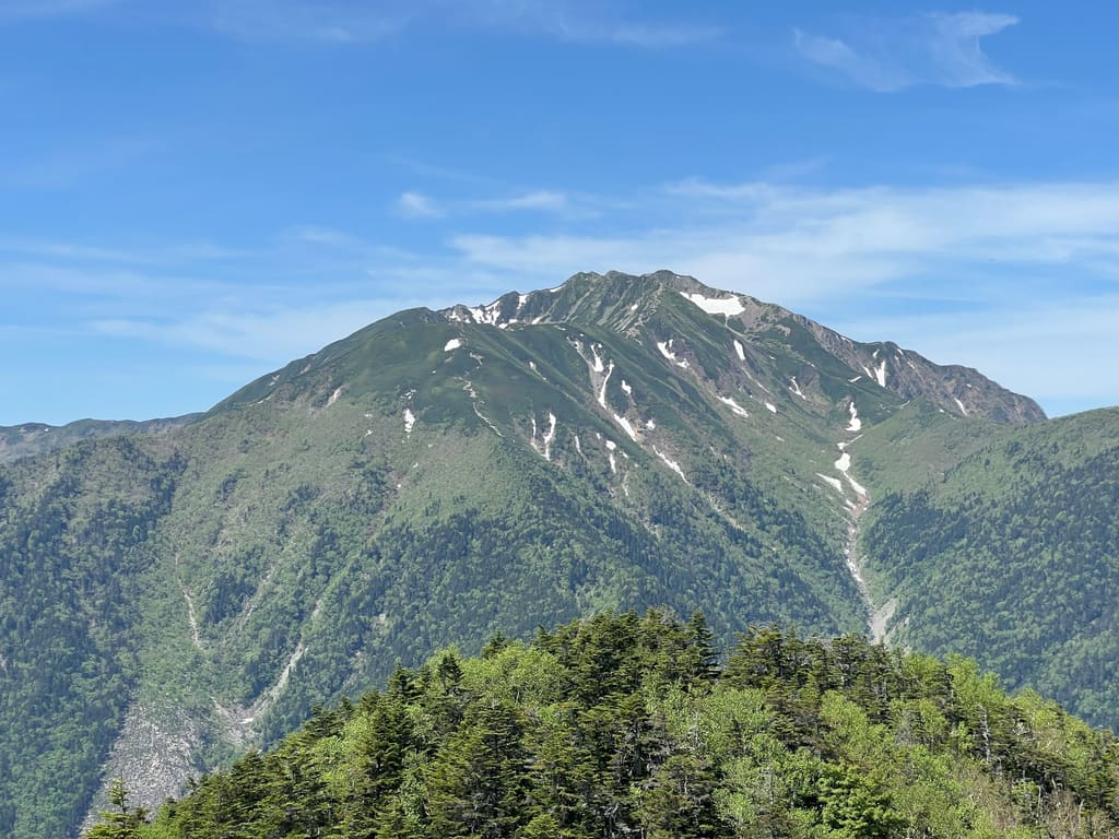 甲斐駒ヶ岳方面から見た仙丈ヶ岳