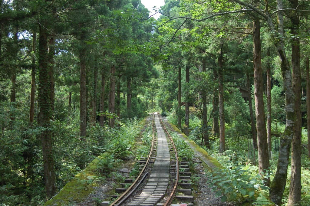 荒川登山口のトロッコ道