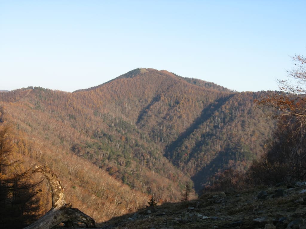 七ツ石山から見た雲取山