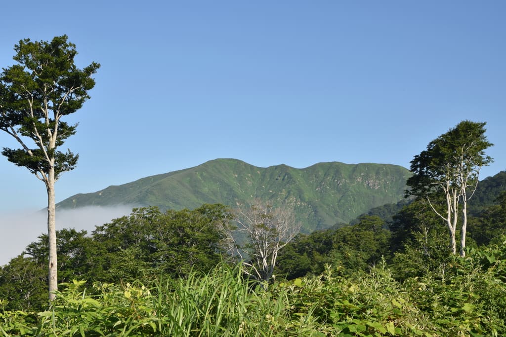 夏の月山