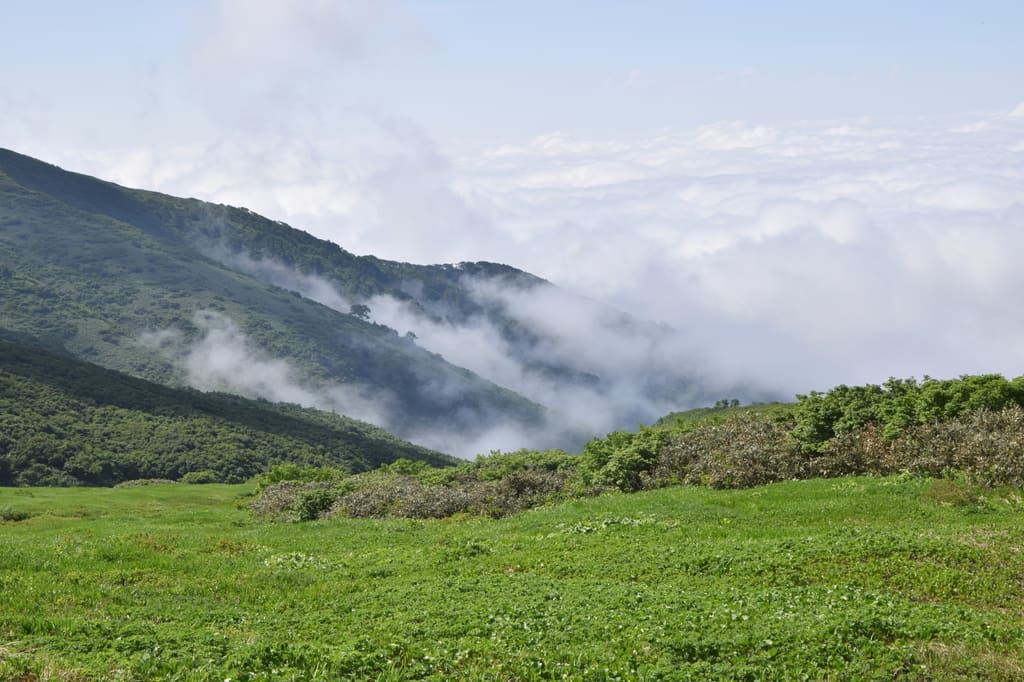 雲の上に出た月山